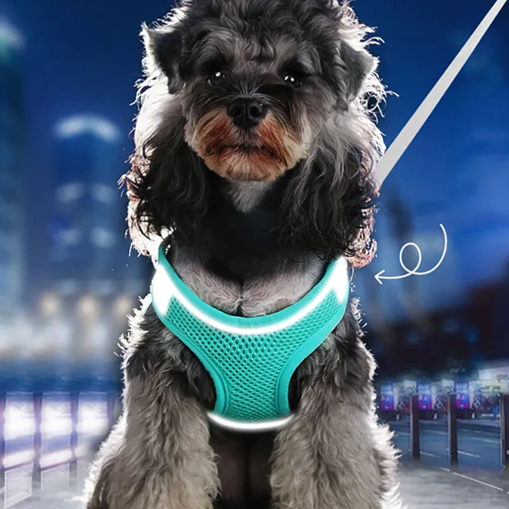 Pet Vest Harness 